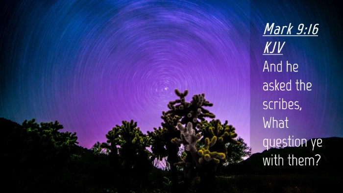 Picture 04 - Mark 9:16 KJV Desktop Wallpaper - And he asked the scribes, What question ye with - Desktop Bible Verse Wallpaper