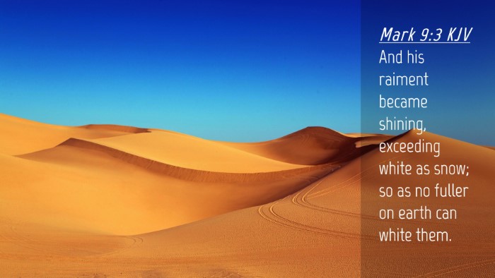 Picture 04 - Mark 9:3 KJV Desktop Wallpaper - And his raiment became shining, exceeding white - Desktop Bible Verse Wallpaper