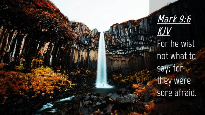 Picture 04 - Mark 9:6 KJV Desktop Wallpaper - For he wist not what to say; for they were sore - Desktop Bible Verse Wallpaper