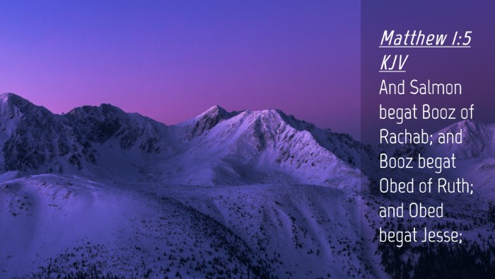 Picture 04 - Matthew 1:5 KJV Desktop Wallpaper - And Salmon begat Booz of Rachab; and Booz begat - Desktop Bible Verse Wallpaper