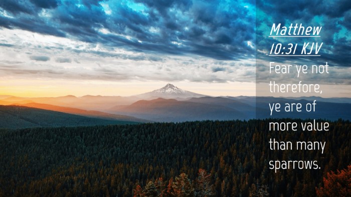 Picture 04 - Matthew 10:31 KJV Desktop Wallpaper - Fear ye not therefore, ye are of more value than - Desktop Bible Verse Wallpaper