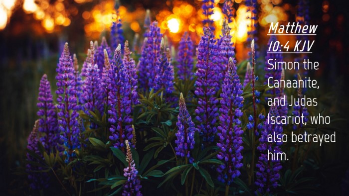 Picture 04 - Matthew 10:4 KJV Desktop Wallpaper - Simon the Canaanite, and Judas Iscariot, who also - Desktop Bible Verse Wallpaper