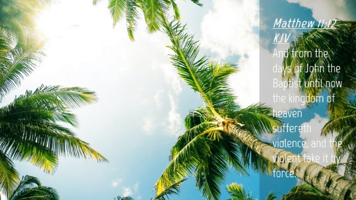 Picture 04 - Matthew 11:12 KJV Desktop Wallpaper - And from the days of John the Baptist until now - Desktop Bible Verse Wallpaper