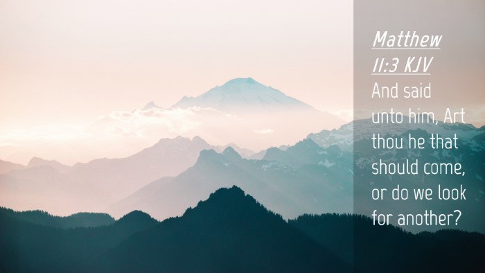 Picture 04 - Matthew 11:3 KJV Desktop Wallpaper - And said unto him, Art thou he that should come, - Desktop Bible Verse Wallpaper