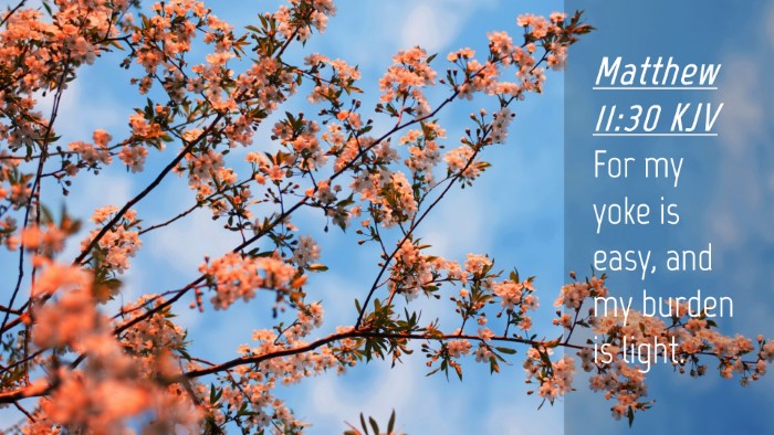 Picture 04 - Matthew 11:30 KJV Desktop Wallpaper - For my yoke is easy, and my burden is - Desktop Bible Verse Wallpaper