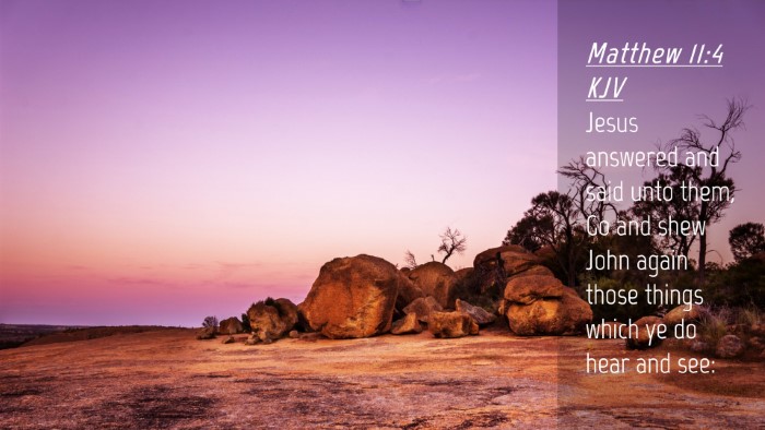 Picture 04 - Matthew 11:4 KJV Desktop Wallpaper - Jesus answered and said unto them, Go and shew - Desktop Bible Verse Wallpaper