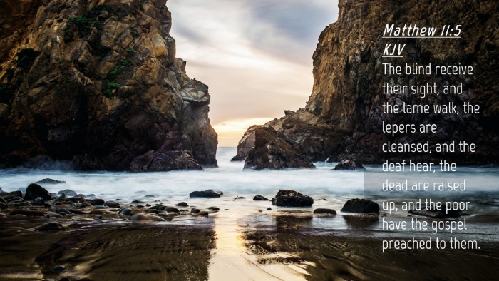 Picture 04 - Matthew 11:5 KJV Desktop Wallpaper - The blind receive their sight, and the lame walk, - Desktop Bible Verse Wallpaper
