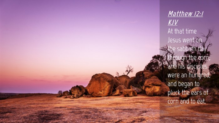 Picture 04 - Matthew 12:1 KJV Desktop Wallpaper - At that time Jesus went on the sabbath day - Desktop Bible Verse Wallpaper