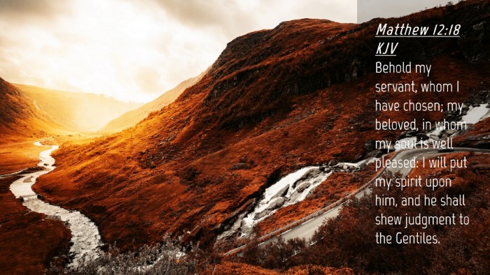 Picture 04 - Matthew 12:18 KJV Desktop Wallpaper - Behold my servant, whom I have chosen; my - Desktop Bible Verse Wallpaper