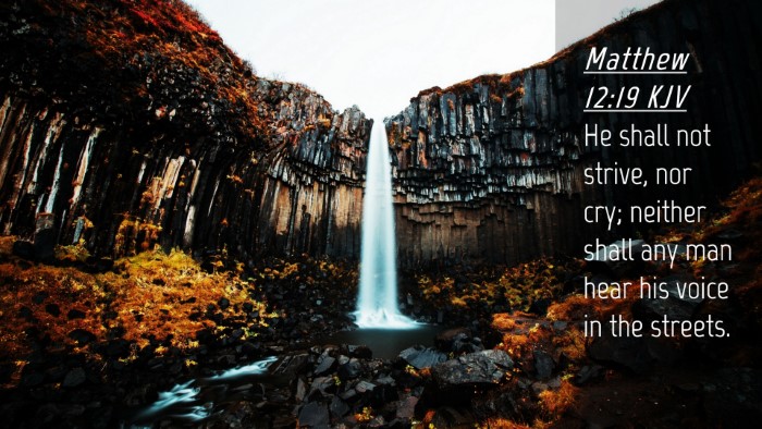Picture 04 - Matthew 12:19 KJV Desktop Wallpaper - He shall not strive, nor cry; neither shall any - Desktop Bible Verse Wallpaper
