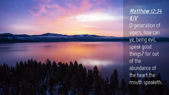 Picture 04 - Matthew 12:34 KJV Desktop Wallpaper - O generation of vipers, how can ye, being evil, - Desktop Bible Verse Wallpaper