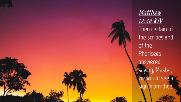 Picture 04 - Matthew 12:38 KJV Desktop Wallpaper - Then certain of the scribes and of the Pharisees - Desktop Bible Verse Wallpaper