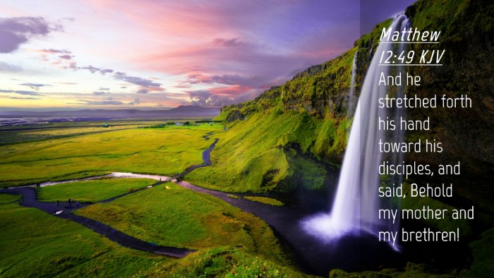 Picture 04 - Matthew 12:49 KJV Desktop Wallpaper - And he stretched forth his hand toward his - Desktop Bible Verse Wallpaper