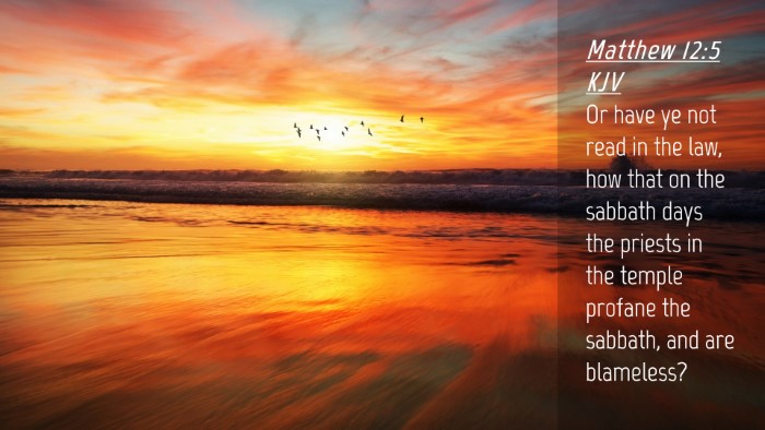 Picture 04 - Matthew 12:5 KJV Desktop Wallpaper - Or have ye not read in the law, how that on the - Desktop Bible Verse Wallpaper