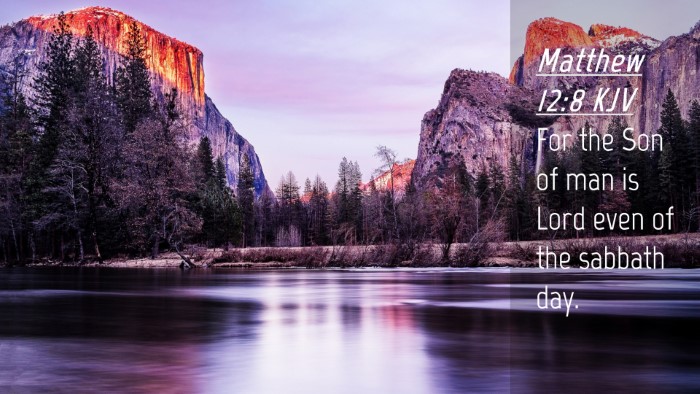 Picture 04 - Matthew 12:8 KJV Desktop Wallpaper - For the Son of man is Lord even of the sabbath - Desktop Bible Verse Wallpaper