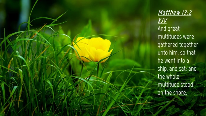 Picture 04 - Matthew 13:2 KJV Desktop Wallpaper - And great multitudes were gathered together unto - Desktop Bible Verse Wallpaper