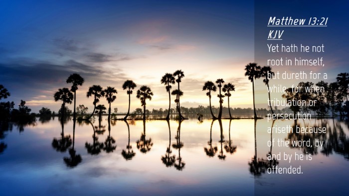 Picture 04 - Matthew 13:21 KJV Desktop Wallpaper - Yet hath he not root in himself, but dureth for a - Desktop Bible Verse Wallpaper