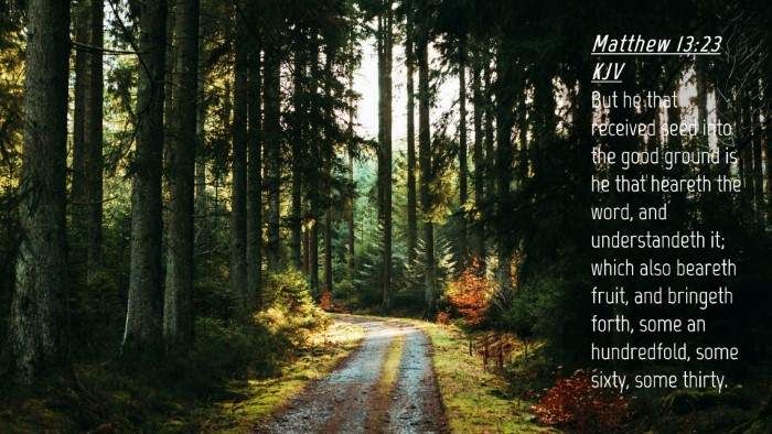 Picture 04 - Matthew 13:23 KJV Desktop Wallpaper - But he that received seed into the good ground is - Desktop Bible Verse Wallpaper