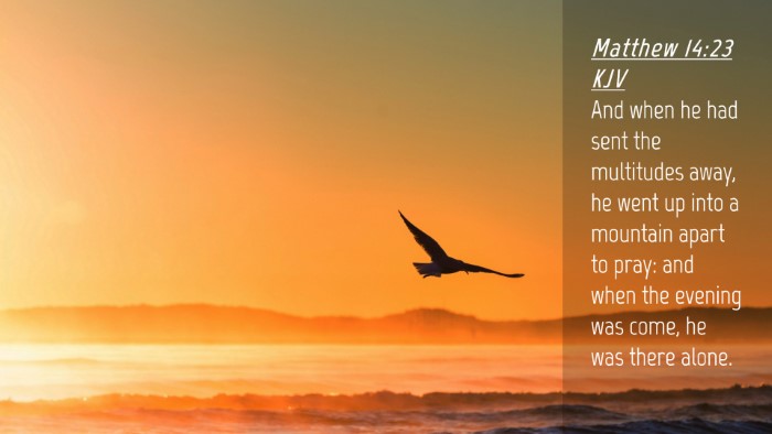 Picture 04 - Matthew 14:23 KJV Desktop Wallpaper - And when he had sent the multitudes away, he went - Desktop Bible Verse Wallpaper