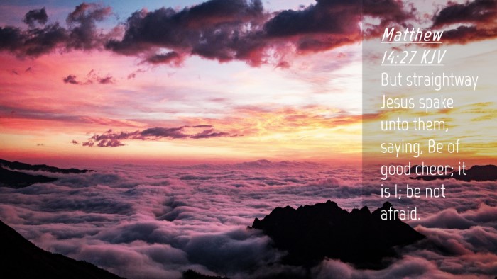 Picture 04 - Matthew 14:27 KJV Desktop Wallpaper - But straightway Jesus spake unto them, saying, Be - Desktop Bible Verse Wallpaper