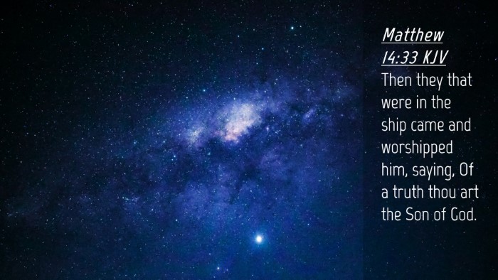 Picture 04 - Matthew 14:33 KJV Desktop Wallpaper - Then they that were in the ship came and - Desktop Bible Verse Wallpaper