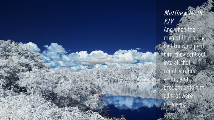 Picture 04 - Matthew 14:35 KJV Desktop Wallpaper - And when the men of that place had knowledge of - Desktop Bible Verse Wallpaper