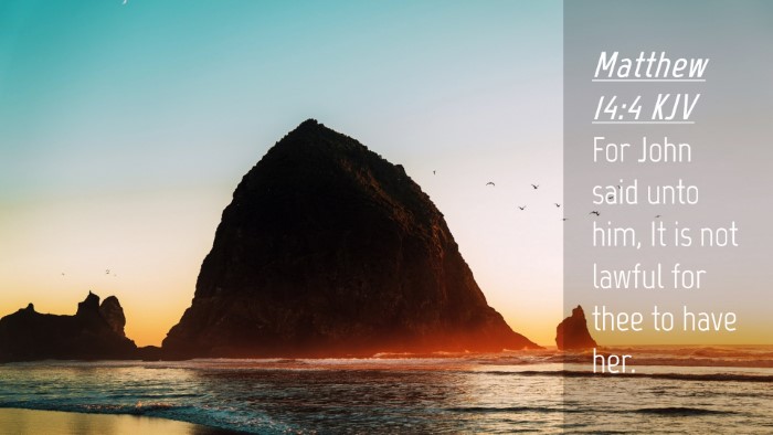 Picture 04 - Matthew 14:4 KJV Desktop Wallpaper - For John said unto him, It is not lawful for thee - Desktop Bible Verse Wallpaper