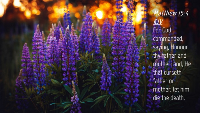Picture 04 - Matthew 15:4 KJV Desktop Wallpaper - For God commanded, saying, Honour thy father and - Desktop Bible Verse Wallpaper