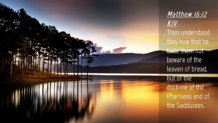 Picture 04 - Matthew 16:12 KJV Desktop Wallpaper - Then understood they how that he bade them not - Desktop Bible Verse Wallpaper