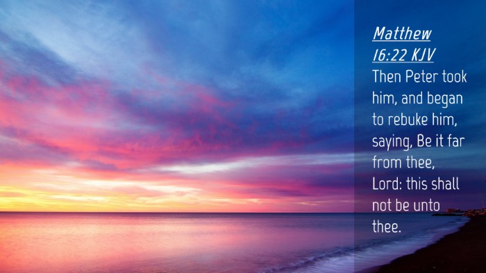 Picture 04 - Matthew 16:22 KJV Desktop Wallpaper - Then Peter took him, and began to rebuke him, - Desktop Bible Verse Wallpaper