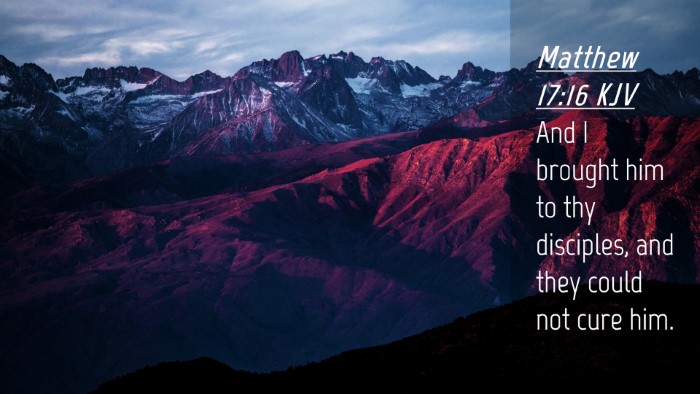 Picture 04 - Matthew 17:16 KJV Desktop Wallpaper - And I brought him to thy disciples, and they - Desktop Bible Verse Wallpaper