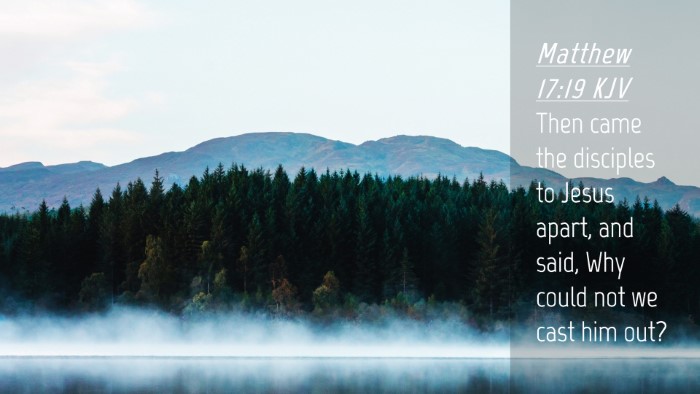 Picture 04 - Matthew 17:19 KJV Desktop Wallpaper - Then came the disciples to Jesus apart, and said, - Desktop Bible Verse Wallpaper