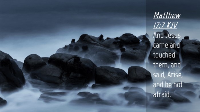 Picture 04 - Matthew 17:7 KJV Desktop Wallpaper - And Jesus came and touched them, and said, Arise, - Desktop Bible Verse Wallpaper