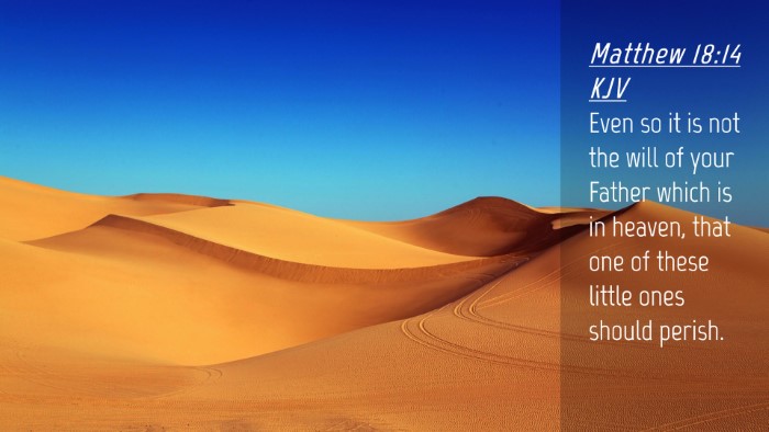 Picture 04 - Matthew 18:14 KJV Desktop Wallpaper - Even so it is not the will of your Father which - Desktop Bible Verse Wallpaper
