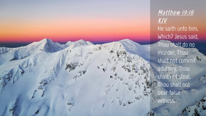 Picture 04 - Matthew 19:18 KJV Desktop Wallpaper - He saith unto him, Which? Jesus said, Thou shalt - Desktop Bible Verse Wallpaper