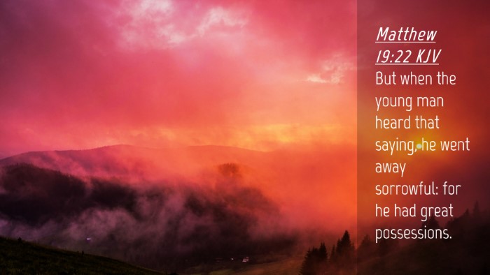 Picture 04 - Matthew 19:22 KJV Desktop Wallpaper - But when the young man heard that saying, he went - Desktop Bible Verse Wallpaper
