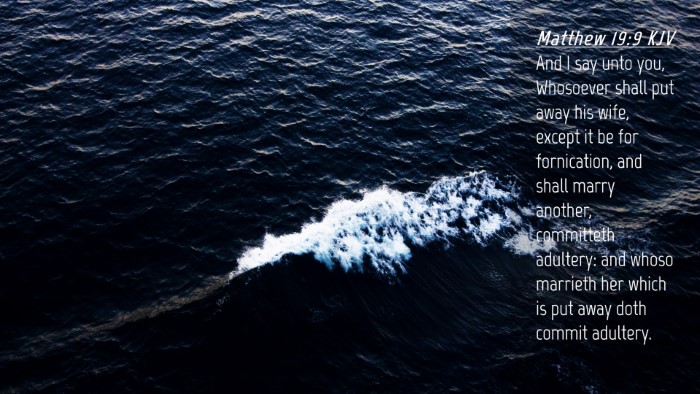 Picture 04 - Matthew 19:9 KJV Desktop Wallpaper - And I say unto you, Whosoever shall put away his - Desktop Bible Verse Wallpaper