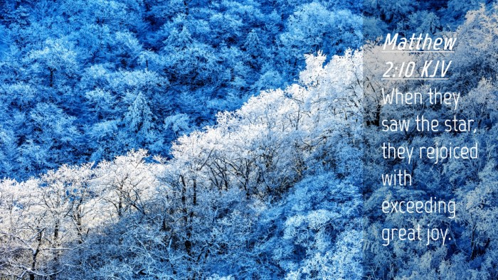 Picture 04 - Matthew 2:10 KJV Desktop Wallpaper - When they saw the star, they rejoiced with - Desktop Bible Verse Wallpaper