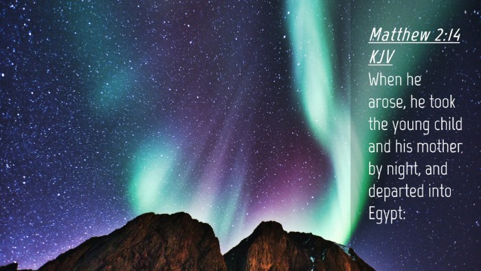 Picture 04 - Matthew 2:14 KJV Desktop Wallpaper - When he arose, he took the young child and his - Desktop Bible Verse Wallpaper