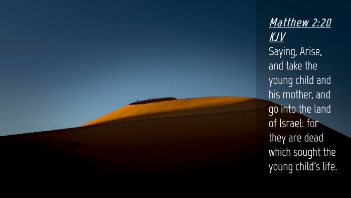 Picture 04 - Matthew 2:20 KJV Desktop Wallpaper - Saying, Arise, and take the young child and his - Desktop Bible Verse Wallpaper