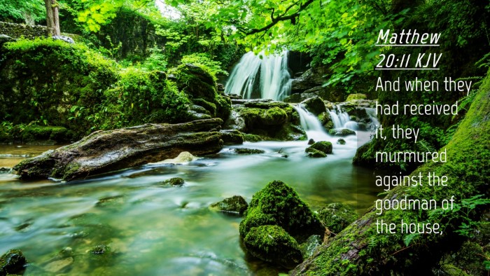 Picture 04 - Matthew 20:11 KJV Desktop Wallpaper - And when they had received it, they murmured - Desktop Bible Verse Wallpaper