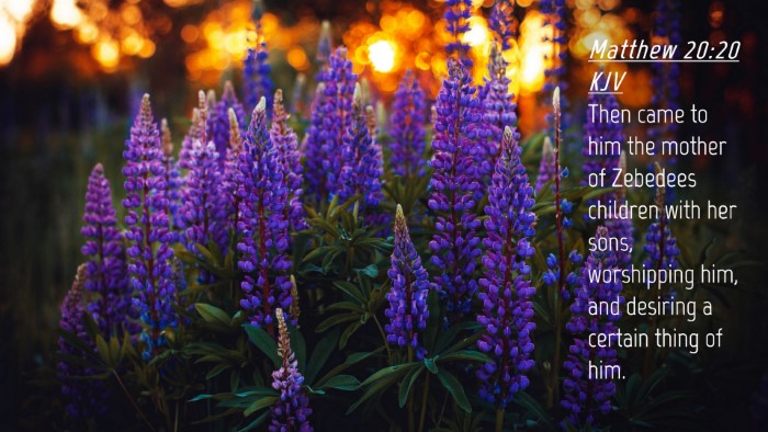 Picture 04 - Matthew 20:20 KJV Desktop Wallpaper - Then came to him the mother of Zebedees children - Desktop Bible Verse Wallpaper