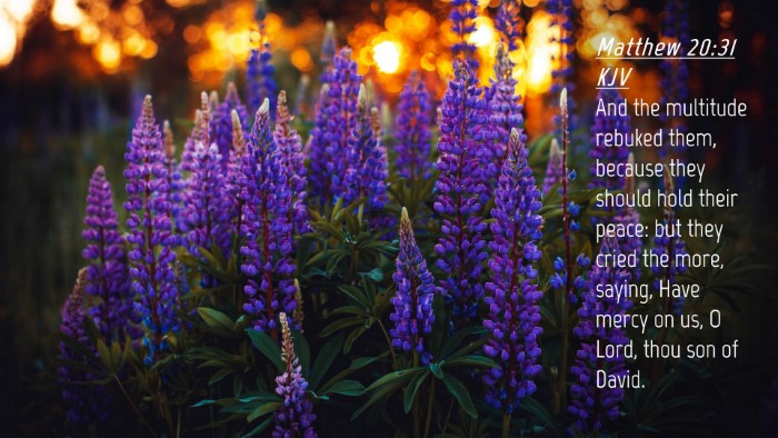 Picture 04 - Matthew 20:31 KJV Desktop Wallpaper - And the multitude rebuked them, because they - Desktop Bible Verse Wallpaper
