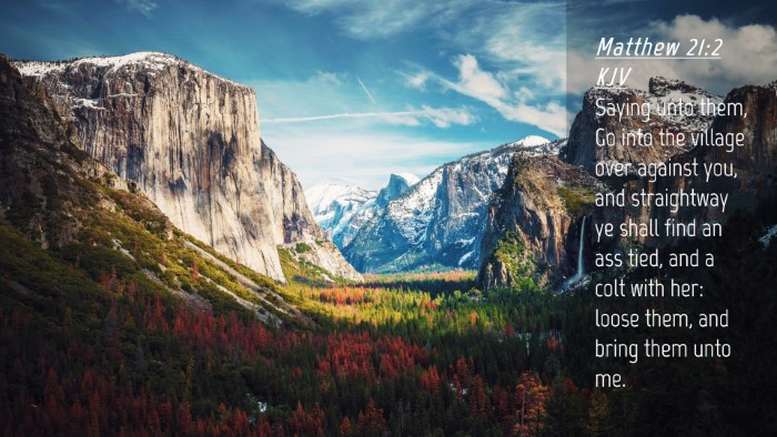 Picture 04 - Matthew 21:2 KJV Desktop Wallpaper - Saying unto them, Go into the village over - Desktop Bible Verse Wallpaper