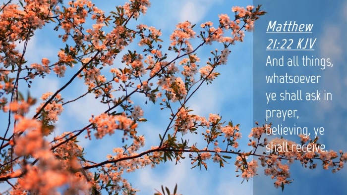 Picture 04 - Matthew 21:22 KJV Desktop Wallpaper - And all things, whatsoever ye shall ask in - Desktop Bible Verse Wallpaper