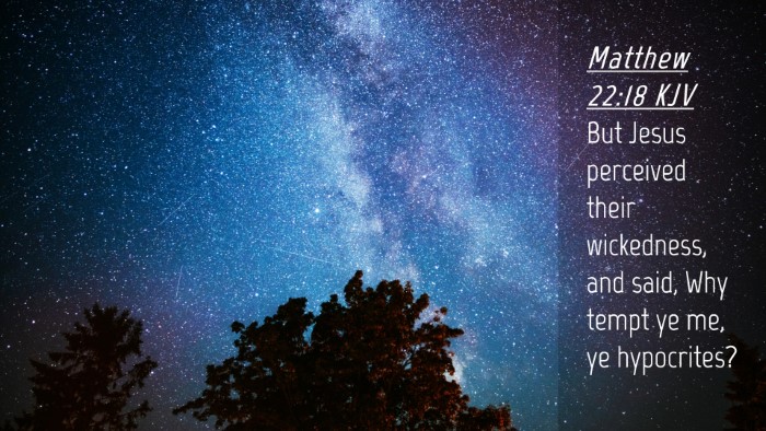 Picture 04 - Matthew 22:18 KJV Desktop Wallpaper - But Jesus perceived their wickedness, and said, - Desktop Bible Verse Wallpaper