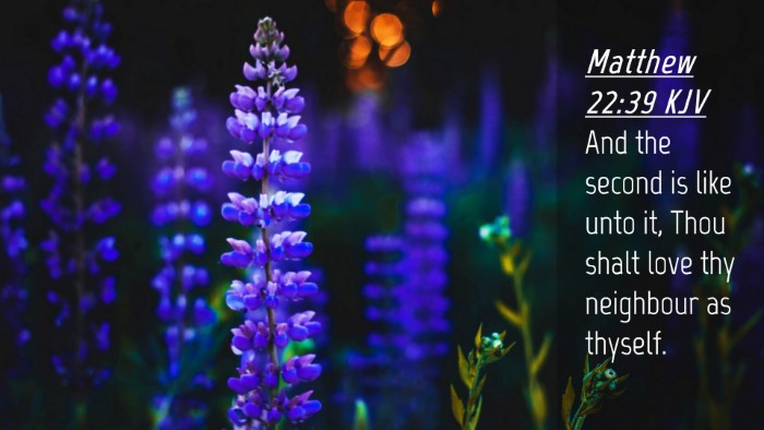 Picture 04 - Matthew 22:39 KJV Desktop Wallpaper - And the second is like unto it, Thou shalt love - Desktop Bible Verse Wallpaper