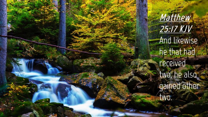 Picture 04 - Matthew 25:17 KJV Desktop Wallpaper - And likewise he that had received two, he also - Desktop Bible Verse Wallpaper