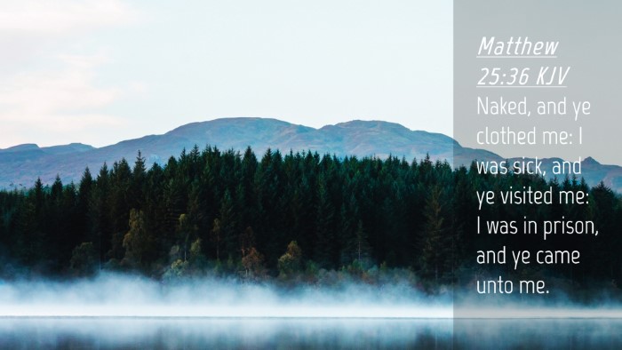 Picture 04 - Matthew 25:36 KJV Desktop Wallpaper - Naked, and ye clothed me: I was sick, and ye - Desktop Bible Verse Wallpaper