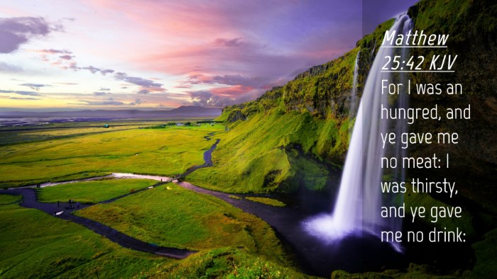 Picture 04 - Matthew 25:42 KJV Desktop Wallpaper - For I was an hungred, and ye gave me no meat: I - Desktop Bible Verse Wallpaper